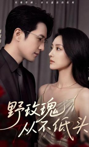 短剧《野玫瑰从不低头》海报