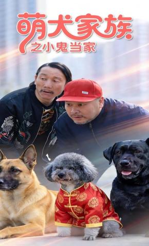 短剧《萌犬家族之小鬼当家》海报