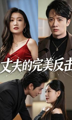 短剧《丈夫的完美反击》海报