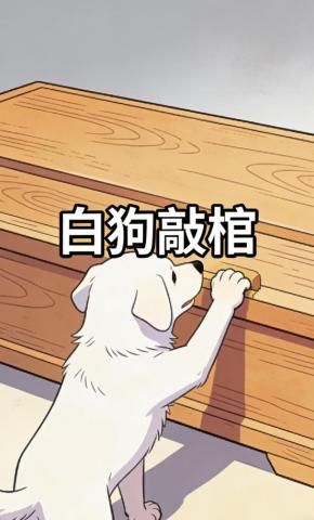短剧《白狗敲棺》海报