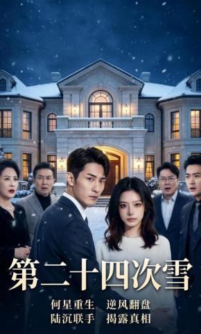 短剧《第二十四次雪》海报