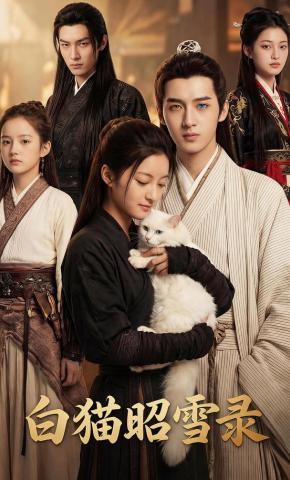 短剧《白猫昭雪录》海报