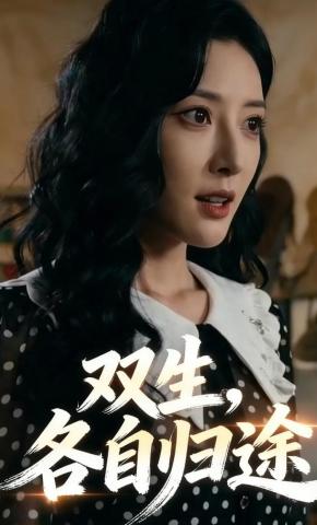 短剧《双生，各自归途》海报