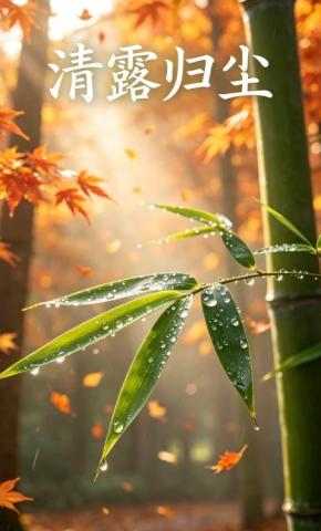 短剧《清露归尘》海报