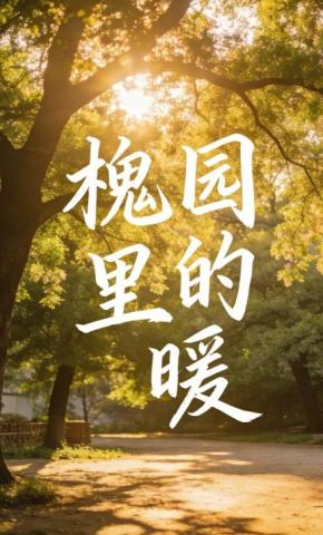 短剧《槐园里的暖6》海报