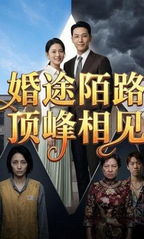 短剧《婚途陌路，顶峰相见》海报
