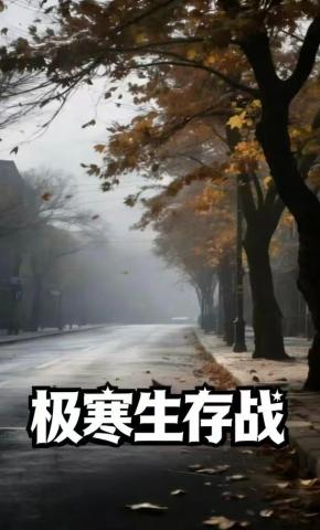 短剧《极寒生存战》海报