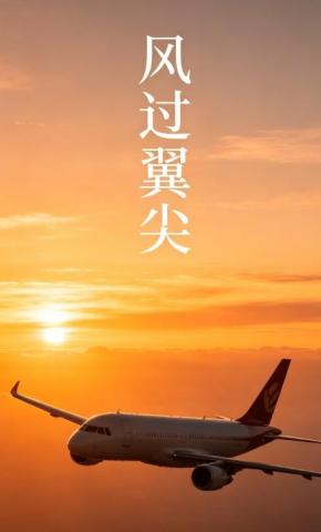 短剧《风过翼尖》海报