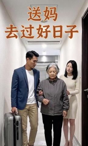 短剧《送妈去过好日子》海报