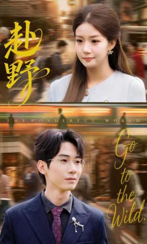 短剧《赴野》海报