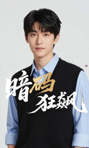 短剧《暗码狂飙》海报