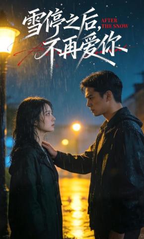 短剧《雪停之后，不再爱你》海报