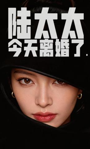 短剧《陆太太今天离婚了》海报