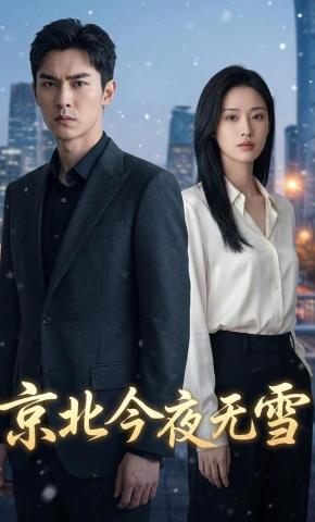 短剧《京北今夜无雪》海报