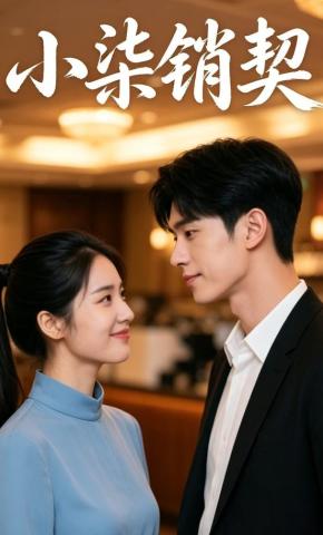 短剧《小柒销契》海报
