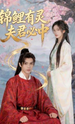 短剧《锦鲤有灵，夫君必中》海报