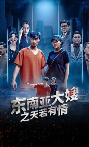 短剧《东南亚大嫂之天若有情》海报