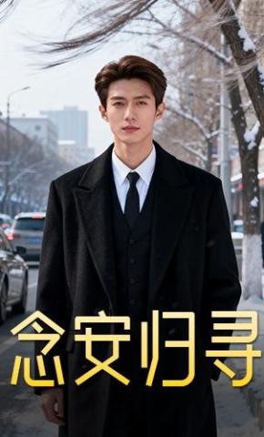 短剧《念安归寻》海报