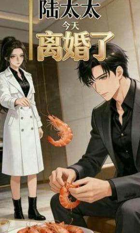 短剧《陆太太今天离婚了》海报