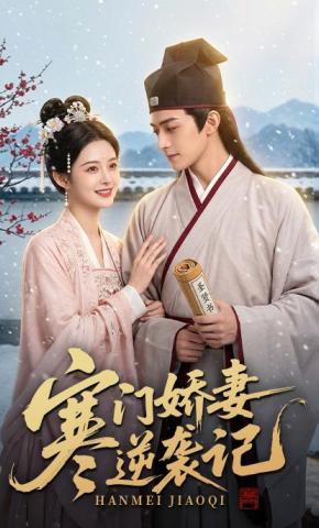 短剧《寒门娇妻逆袭记》海报