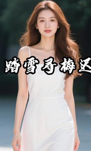 短剧《踏雪寻梅迟》海报