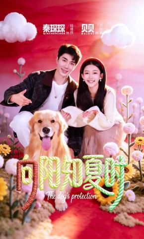 短剧《向阳知夏时》海报