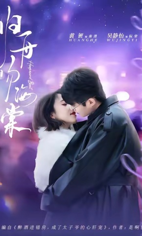 短剧归舟吻海棠海报