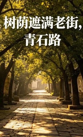 短剧《树荫遮满老街，青石路》海报