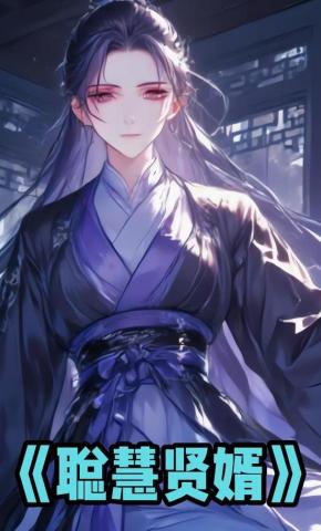 短剧《聪慧贤婿》海报