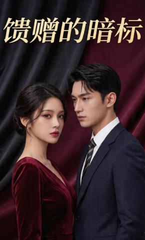 短剧《馈赠的暗标》海报