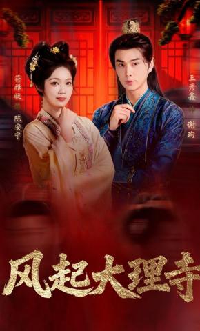 短剧《风起大理寺》海报