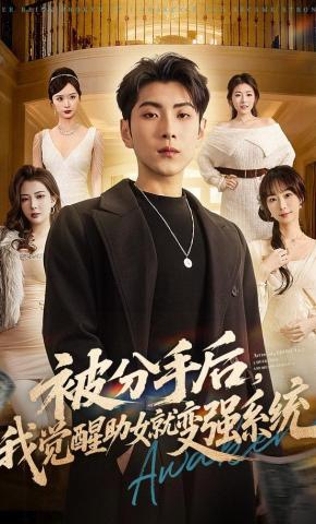 短剧《被分手后，我觉醒助女就变强系统》海报