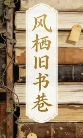 短剧《风栖旧书巷5》海报