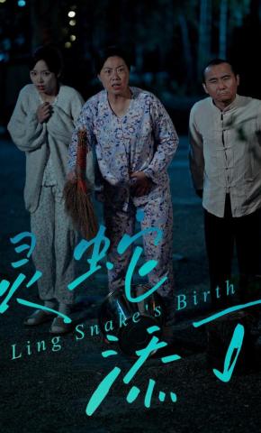 短剧《灵蛇添丁》海报