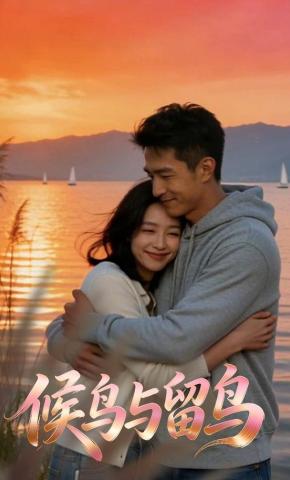 短剧《候鸟与留鸟》海报