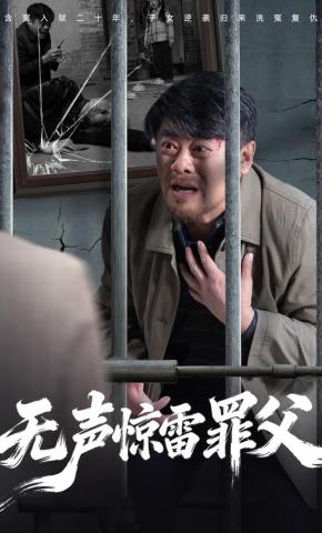 短剧《无声惊雷罪父》海报