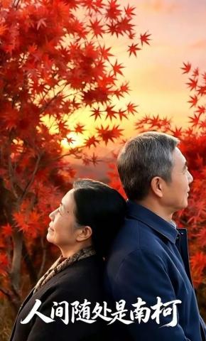 短剧《人间随处是南柯》海报