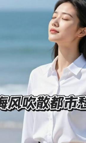 短剧《海风吹散都市愁》海报