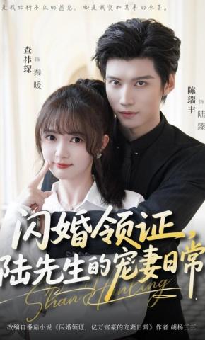 短剧《闪婚领证，陆先生的宠妻日常》海报