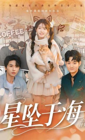短剧《星坠于海》海报