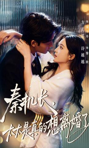 短剧《秦机长，太太是真的想离婚了》海报