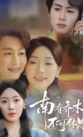 短剧《南有乔木，不可休思》海报