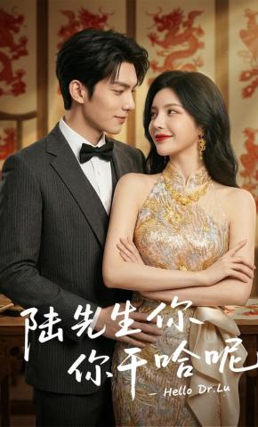 短剧《陆先生你干哈呢》海报