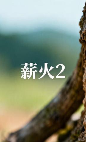 短剧《薪火2》海报