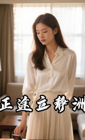 短剧《正途立静洲》海报