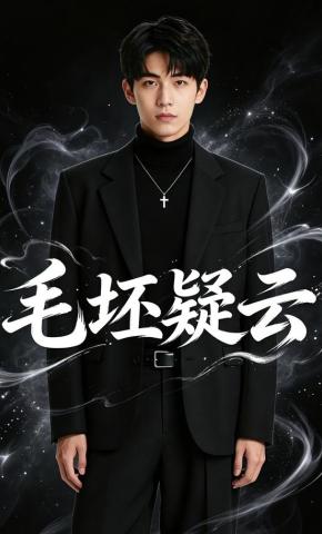 短剧《毛坯疑云》海报