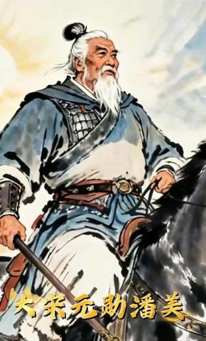 短剧《大宋元勋潘美》海报