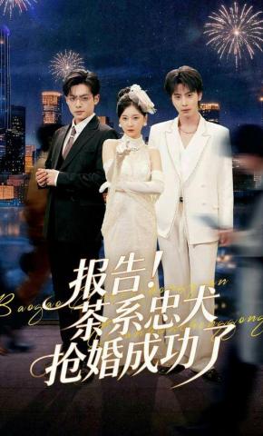 短剧《报告！茶系忠犬抢婚成功了》海报