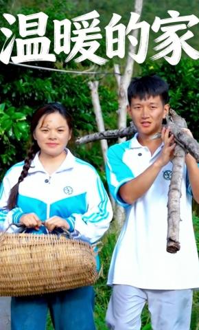 短剧《温暖的家》海报