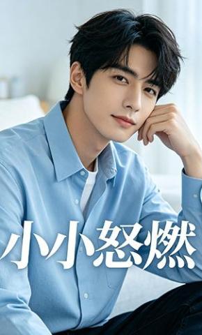 短剧《小小怒燃》海报